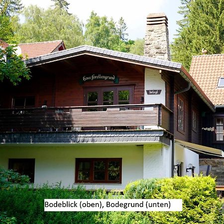 Ferienwohnungen Forellengrund 시르케 외부 사진